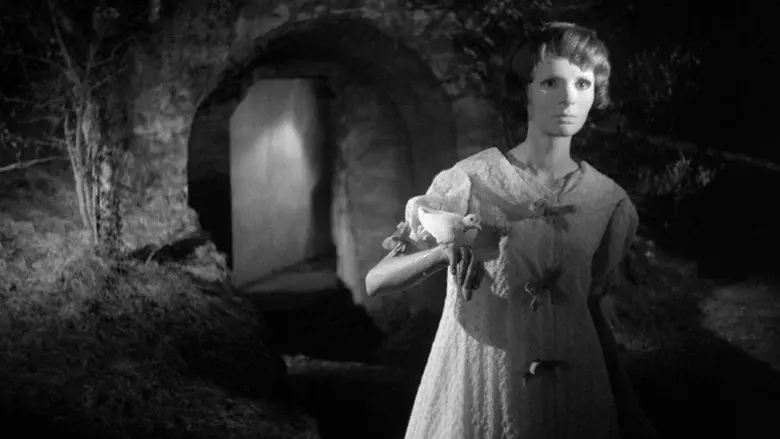 Eyes Without a Face still 5