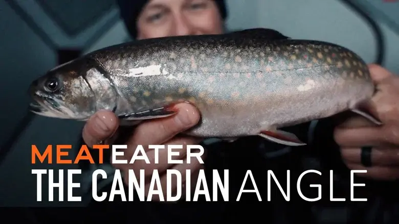 The Canadian Angle still 1