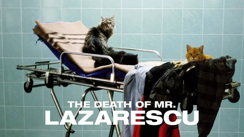 The Death of Mr. Lazarescu still 5