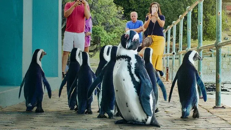 Penguin Town still 1