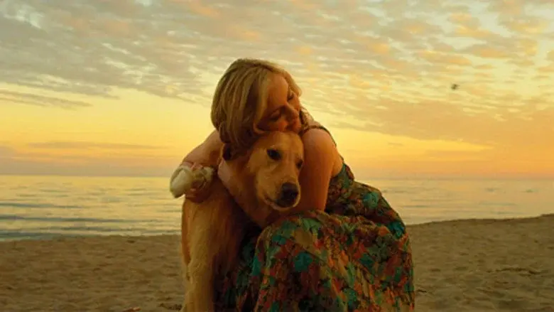 Good Boy still 1