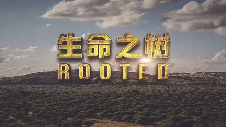 Rooted still 2