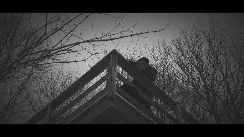 Echoes Of Ivory still 6