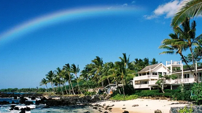Hawaii Life still 2
