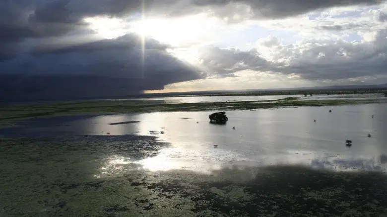 Africa's Lost Eden still 1