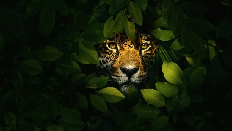 Jaguar vs. Croc still 4