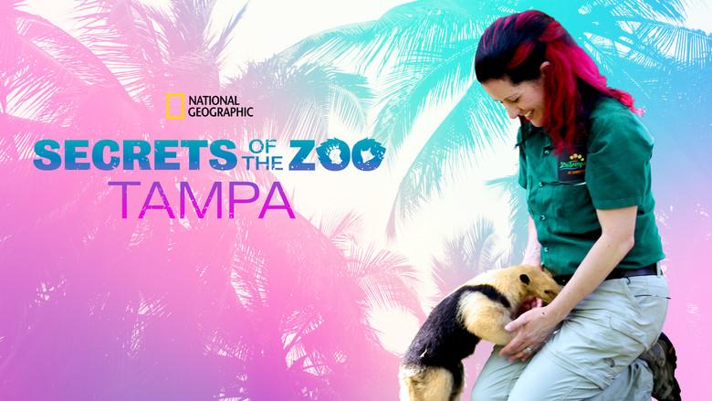 Secrets of the Zoo: Tampa still 2