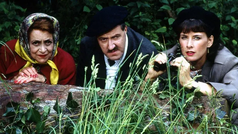 'Allo 'Allo! still 3