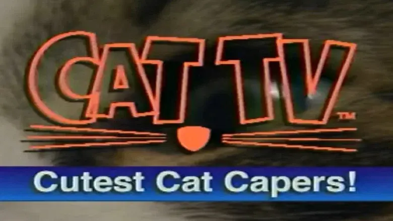Cutest Cat Capers still 1