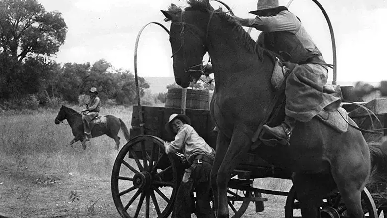 The Culpepper Cattle Co. still 2