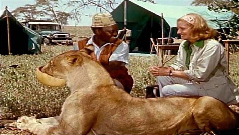 Born Free: A New Adventure still 6