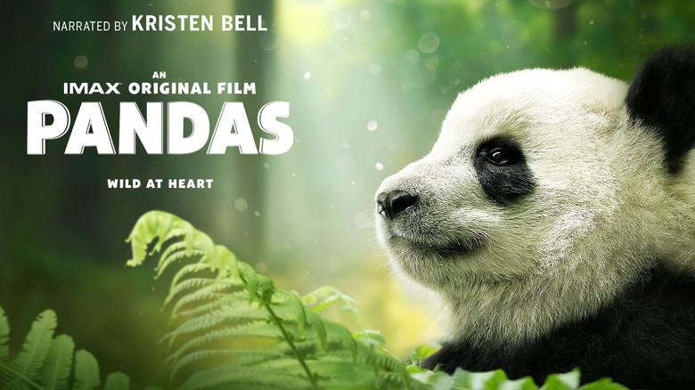 Pandas still 3