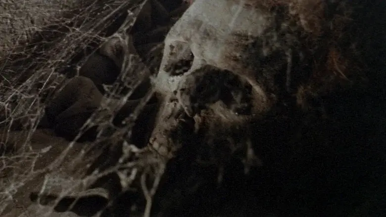 Web of the Spider still 8