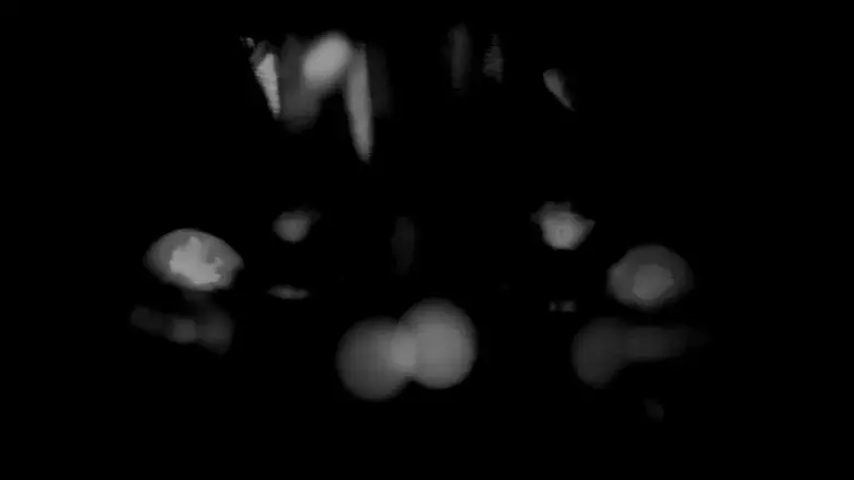 A Man Walking Backwards and Forwards still 1
