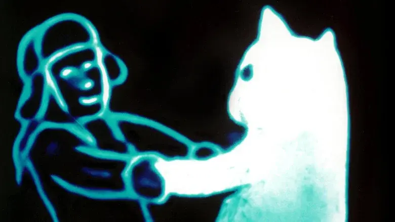 Snow Cat still 1
