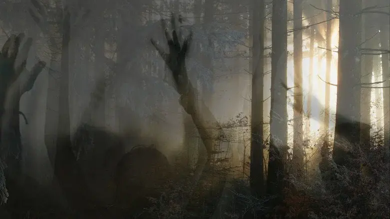 Paranormal Survivor still 1