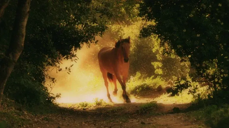 American Mustang still 3