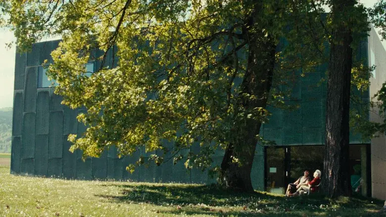Madame Favre's still 5