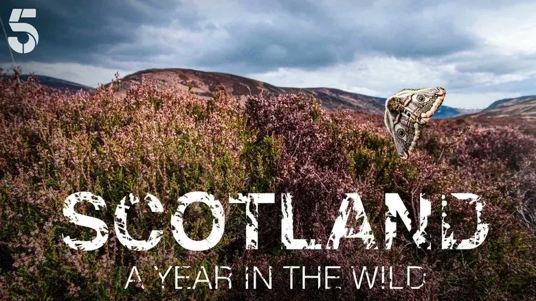 Scotland: A Year In The Wild still 2
