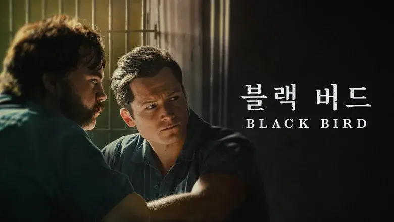 Black Bird still 7