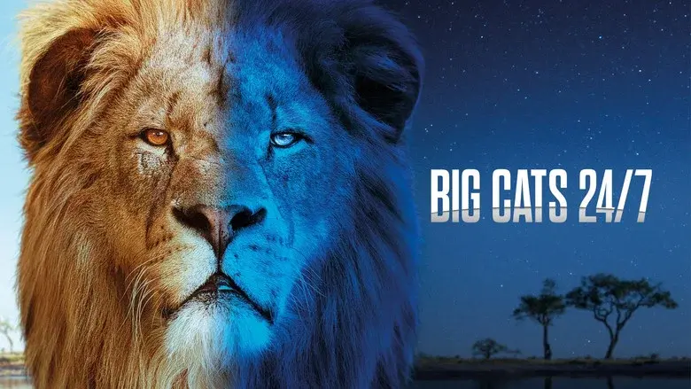 Big Cats 24/7 still 2