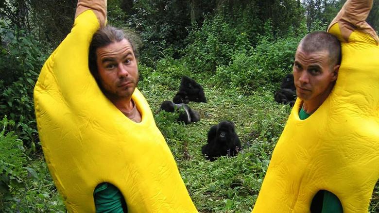 Wildboyz still 2