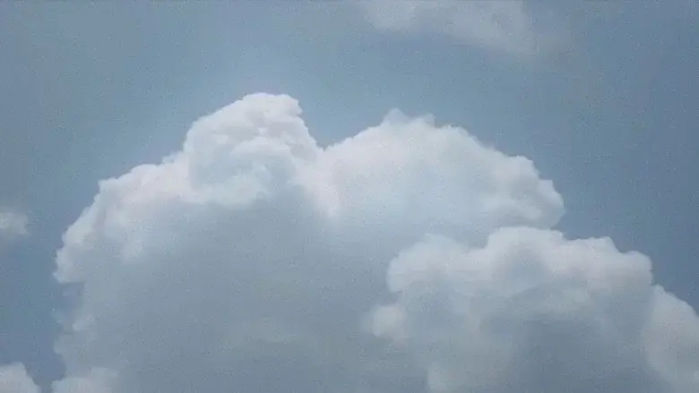 Sheltering Skies still 1