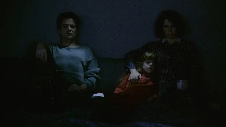 The Seventh Continent still 4