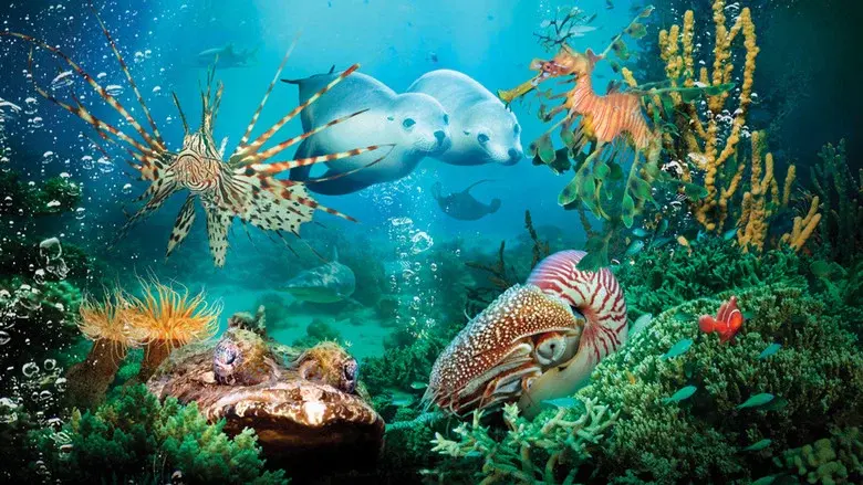 Under the Sea 3D still 1