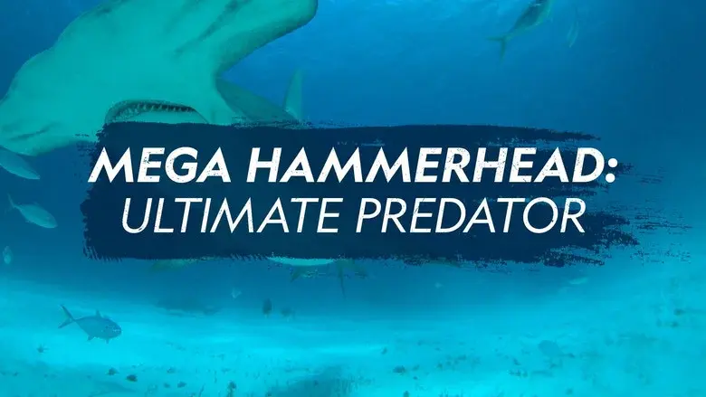 Mega Hammerhead: Ultimate Predator still 3