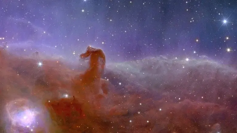 Il cosmo. Alla scoperta dell'universo still 2