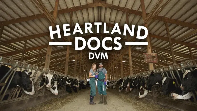 Heartland Docs, DVM still 3