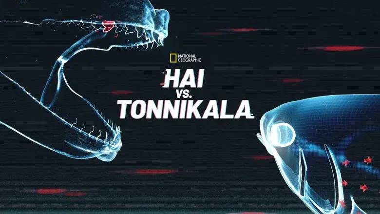 Shark vs. Tuna still 7
