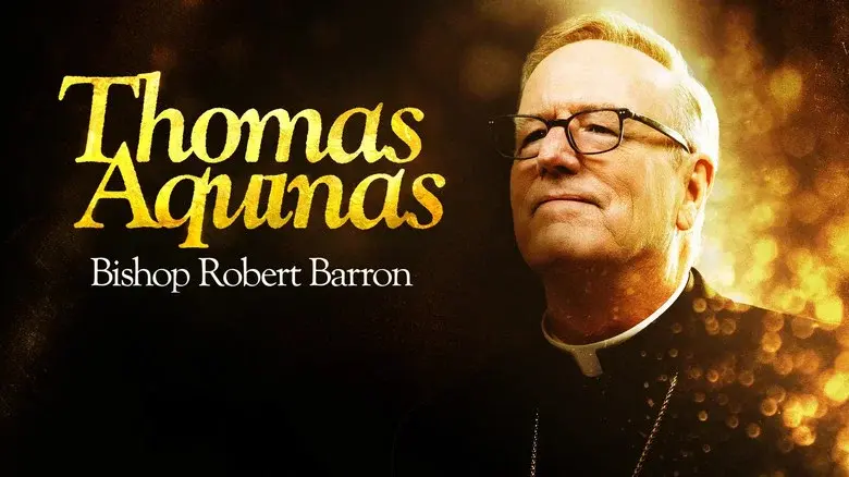 Thomas Aquinas still 1