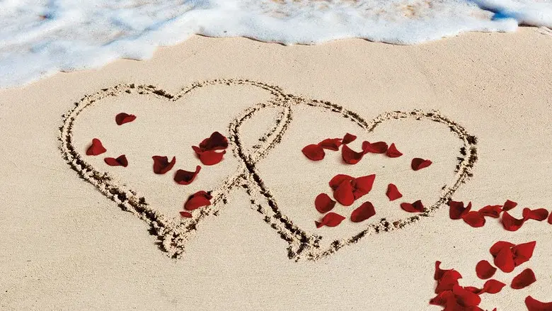 Bachelor in Paradise still 6