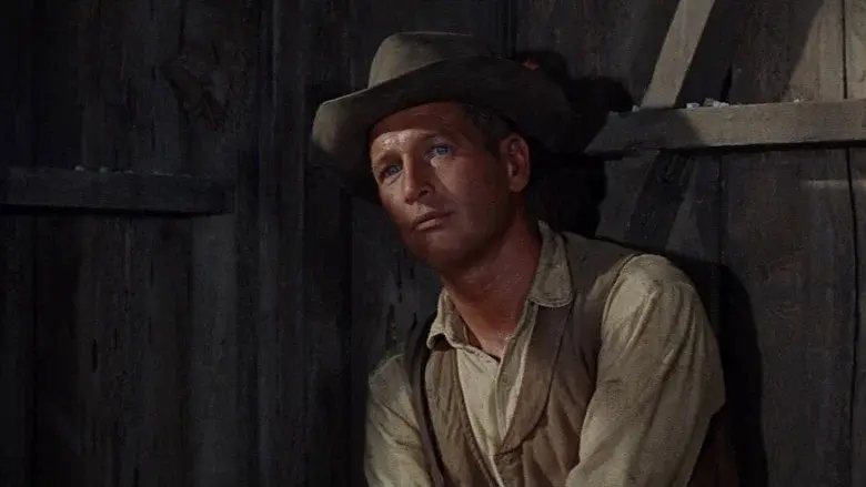 Hombre still 4