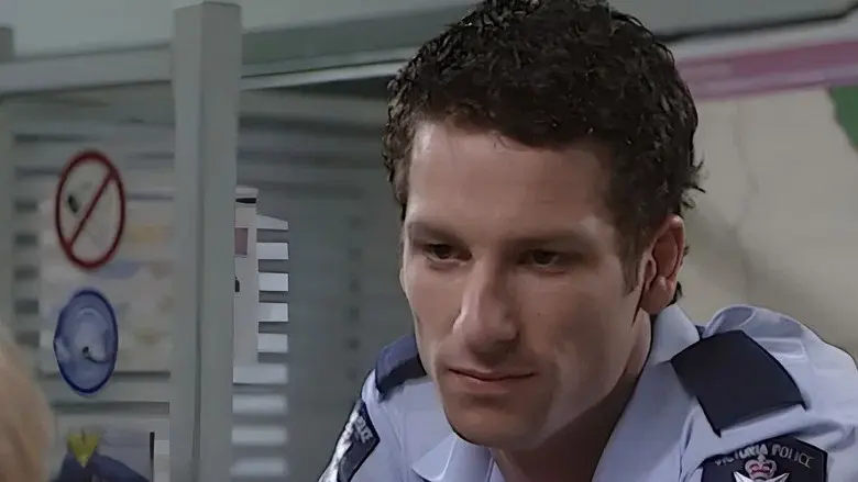Blue Heelers still 3