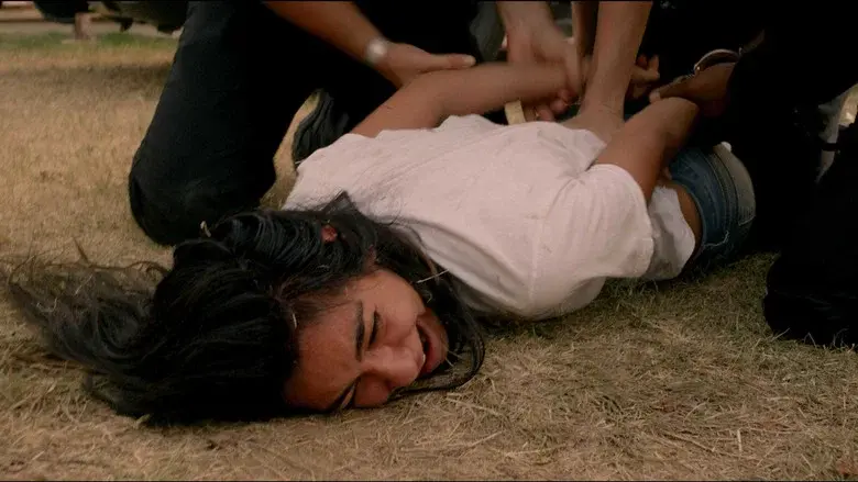 Amaraica still 4