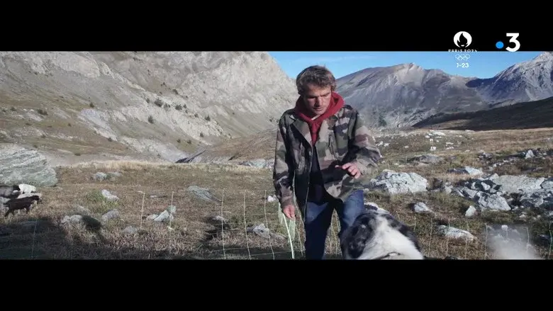 A Shepherd still 2