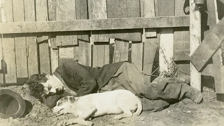 A Dog's Life still 2