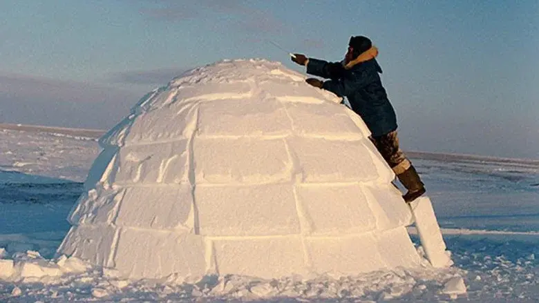 How to Build an Igloo still 1