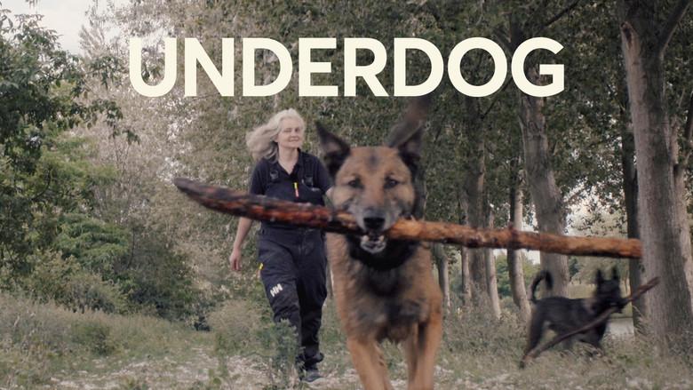Underdog still 3