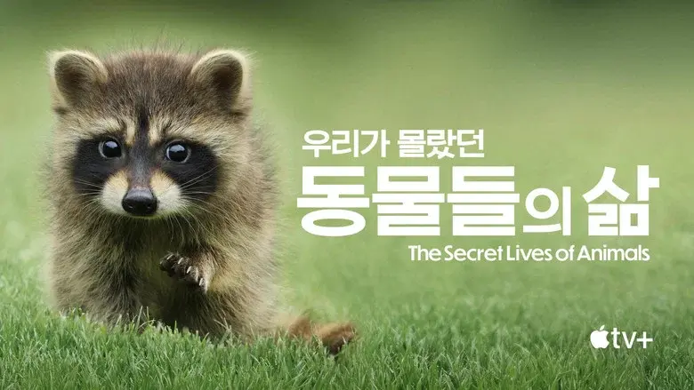The Secret Lives of Animals still 8