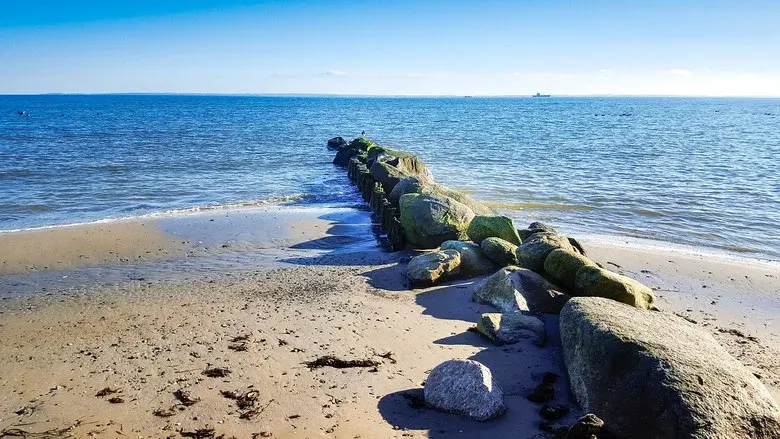 Wild Baltic Sea still 2