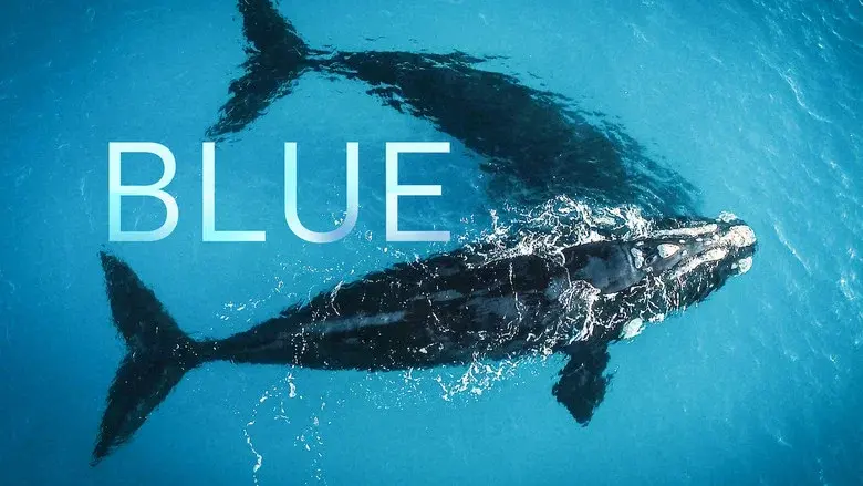 Blue still 1