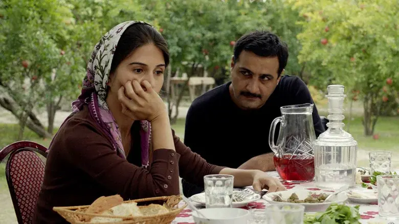 Pomegranate Orchard still 1