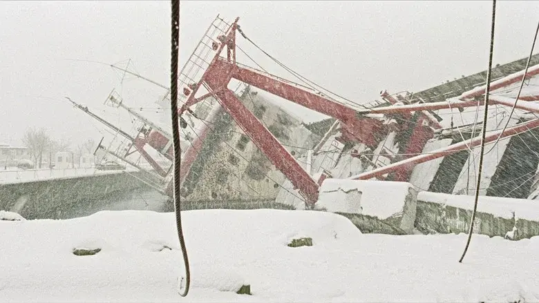 Distant still 8