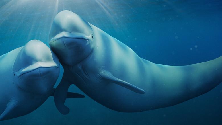 Our Oceans still 4