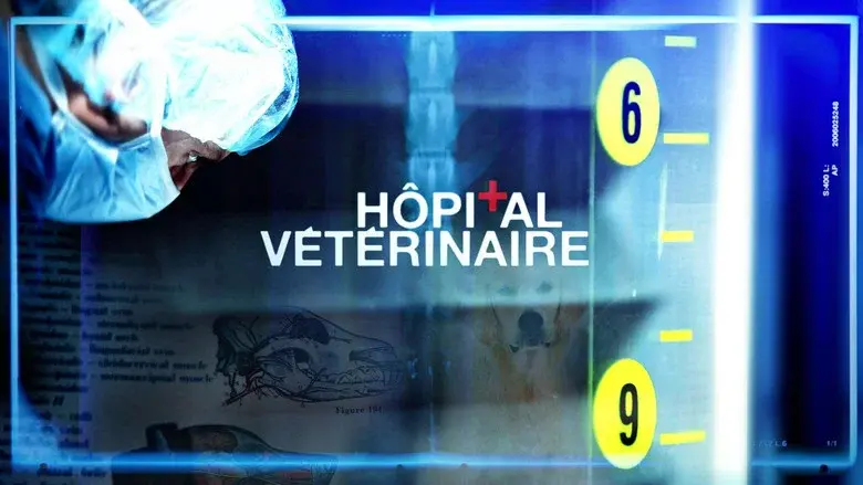 Hôpital vétérinaire still 1