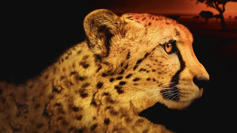 Africa's Deadliest still 1